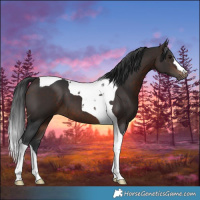 Horse Color:Brown Tobiano 