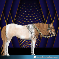 Horse Color:Bay Roan Pearl Tobiano Frame