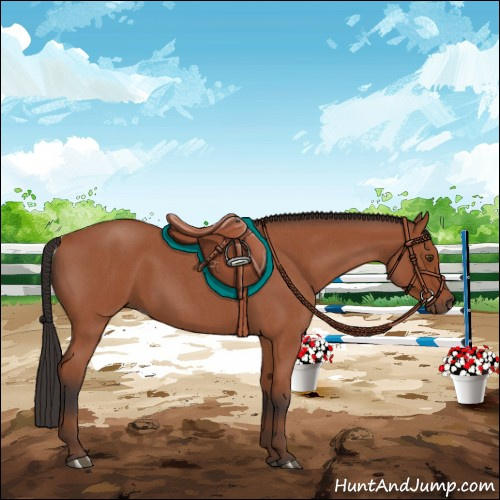 Horse Color:Bay Roan 