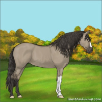 Horse Color:Smoky Grullo 