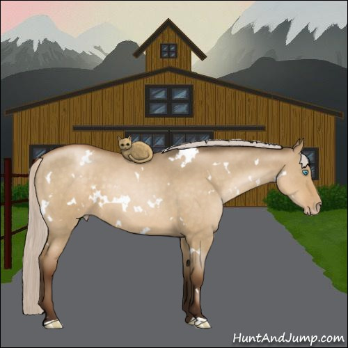 Horse Color:Gray White Spotted Silver Smoky Grullo Roan Pearl 