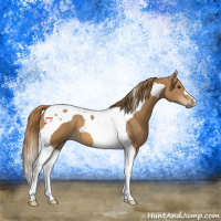Horse Color:Chestnut Tobiano 