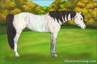 Horse Color:Bay Ice Dun