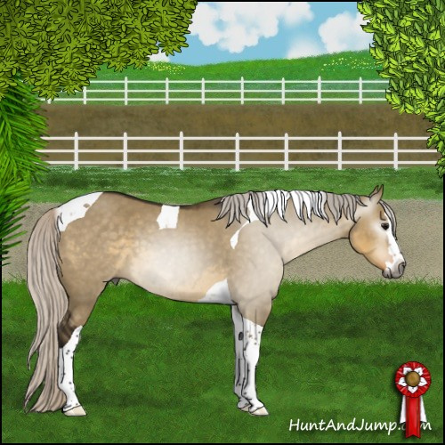 Horse Color:Gray Silver Smoky Grullo Splash Tobiano 