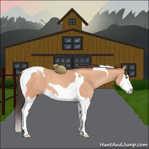 Horse Color:Amber Champagne Splash Tobiano 