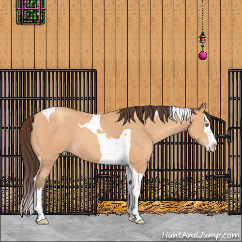 Horse Color:Amber Champagne Splash Tobiano 