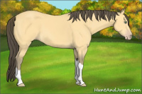 Horse Color:Amber Cream Champagne 