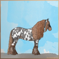 Horse Color:Liver Red Roan Near Leopard 