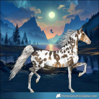 Horse Color:White Spotted Silver Smoky Black Sabino Near Leopard 