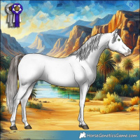 Horse Color:Brown Dun Appaloosa 