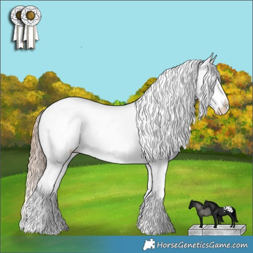 Horse Color:Red Dun Appaloosa 