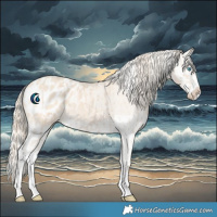 Horse Color:Smoky Creme Splash Appaloosa  and Cremello Splash Appaloosa 