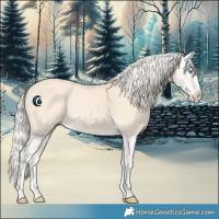 Horse Color:Cremello Splash  and Cremello Splash Rabicano 