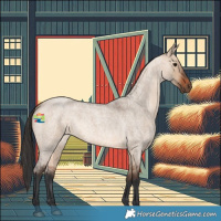 Horse Color:Bay Roan Dun 