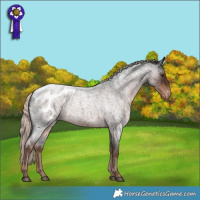 Horse Color:Liver Red Roan Mushroom Blanket 
