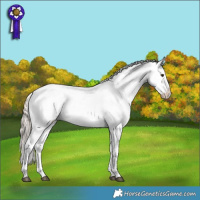 Horse Color:Liver Red Roan Mushroom Appaloosa 