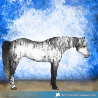 Horse Color:Smoky Black Frame  and Gray Smoky Black Frame 