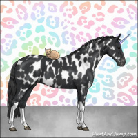 Horse Color:Black Near Leopard