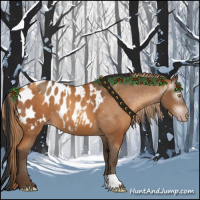 Horse Color:Gray Gold Champagne Appaloosa and Gray Amber Champagne Appaloosa