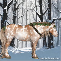 Horse Color:Gray Gold Champagne Appaloosa and Gray Gold Champagne Appaloosa