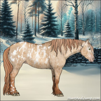Horse Color:Gray Gold Champagne Dun Appaloosa and Gray Gold Champagne Dun Appaloosa