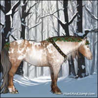 Horse Color:Gray Gold Champagne Appaloosa  and Gray Amber Champagne Appaloosa 