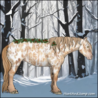 Horse Color:Gray Gold Champagne Roan Appaloosa and Gray Gold Champagne Roan Dun Appaloosa