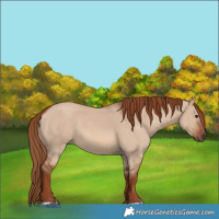 Horse Color:Red Dun 