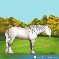 Horse Color:Gray Silver Amber Champagne Sabino 