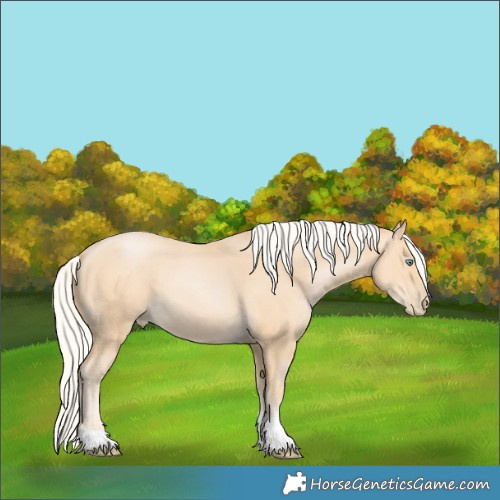 Horse Color:Silver Bay Snowdrop Pearl 