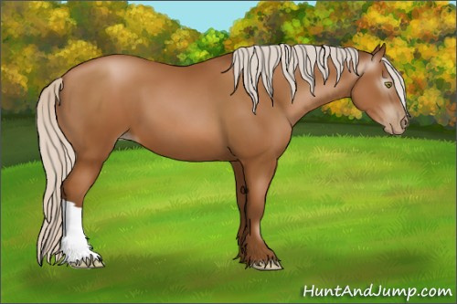 Horse Color:Gray Silver Bay Pearl 