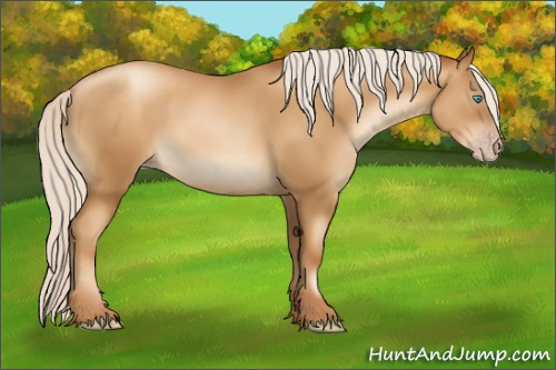 Horse Color:Gray Silver Amber Champagne Pearl 