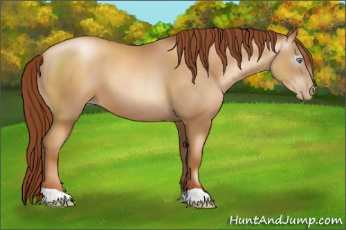 Horse Color:Gray Amber Champagne Pearl 