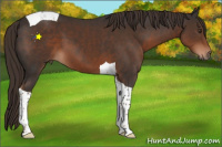 Horse Color:Liver Chestnut Tobiano 
