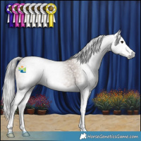 Horse Color:Gray Classic Champagne Splash Rabicano 