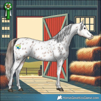 Horse Color:Bay Roan Appaloosa 
