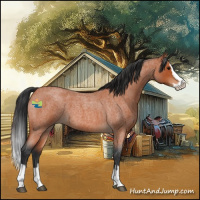 Horse Color:Bay Roan Splash