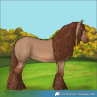 Horse Color:Red Dun 