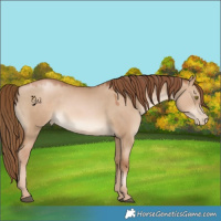 Horse Color:Liver Red Dun Pearl 
