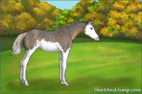 Horse Color:Silver Smoky Blue Roan Sabino Splash 