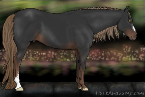 Horse Color:Liver Chestnut 