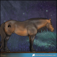 Horse Color:Buckskin 