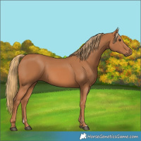 Horse Color:Chestnut 