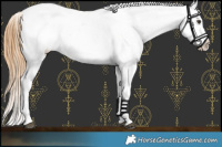 Horse Color:Chestnut Near Leopard 