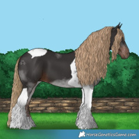 Horse Color:Liver Chestnut Tobiano 