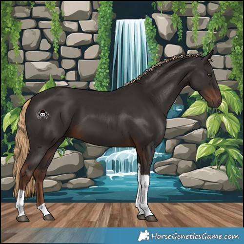 Horse Color:Liver Chestnut Tobiano 