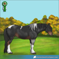 Horse Color:Liver Chestnut Tobiano 