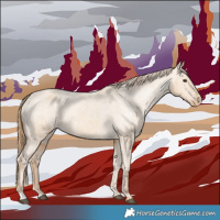 Horse Color:Red Dun Appaloosa  and Red Dun Appaloosa 