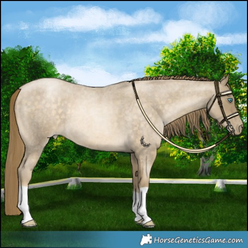 Horse Color:Buckskin Roan Pearl 