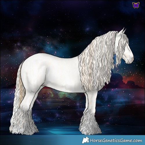 Horse Color:Buckskin Roan Pearl  and Gray Buckskin Roan Pearl 